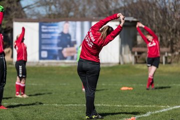 Bild 173 - F SG NieBar - IF Stjernen Flensborg : Ergebnis: 4:1